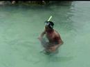 Isla de Mujeres Tour - Shark Isla de Mujeres Tour - Shark