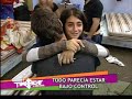 Fer y Taide piden disculpas