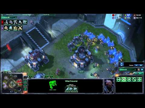 terran
