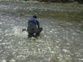 videos de EL GRAN SILURO
