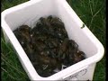 Wild Food with John Campbell