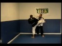 Blocking a Round Kick Blocking a Round Kick