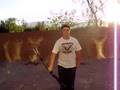 3 rifle tricks