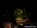 Hurt-Kermit