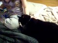 hanging out with my sister and kitty