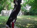SOCCER PRO