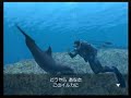 [Wii] Endless Ocean JPN - Play movie