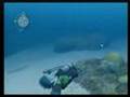[Wii] Endless Ocean JPN - Play movie