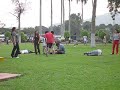 LA CAIDA DE FAT