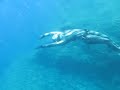 Freediving tunnels in Pula, Croatia #4