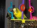 Pippes bildesamling
