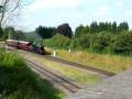 78019 on the TPO