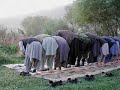 Dont forget Salat !!