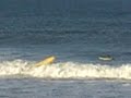 Surfers on Nantasket Beach