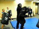 tim and brock knocking each other around