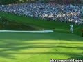 Tigershot