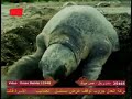اجمل الادعية