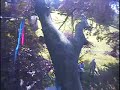 NYTCC Work Climb