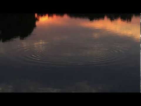 how to cure euphoria