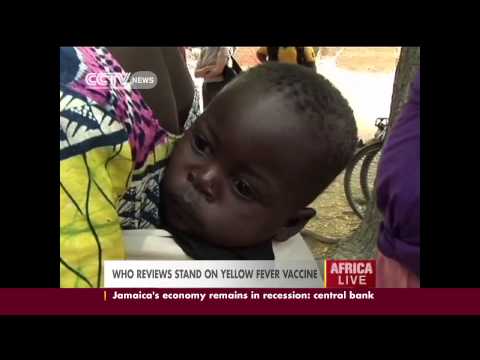 how to administer yellow fever vaccine