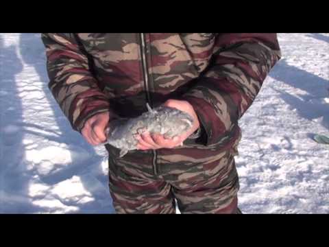 зимния ловля пескаря зимния ловля пескаря