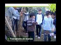 escuela argentina modelo   aprendiendo en verde