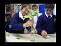 escuela argentina modelo   aprendiendo en verde