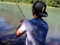 Nisqually River king salmon catch!!