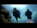 PADI/Scubacaribe subtitulado