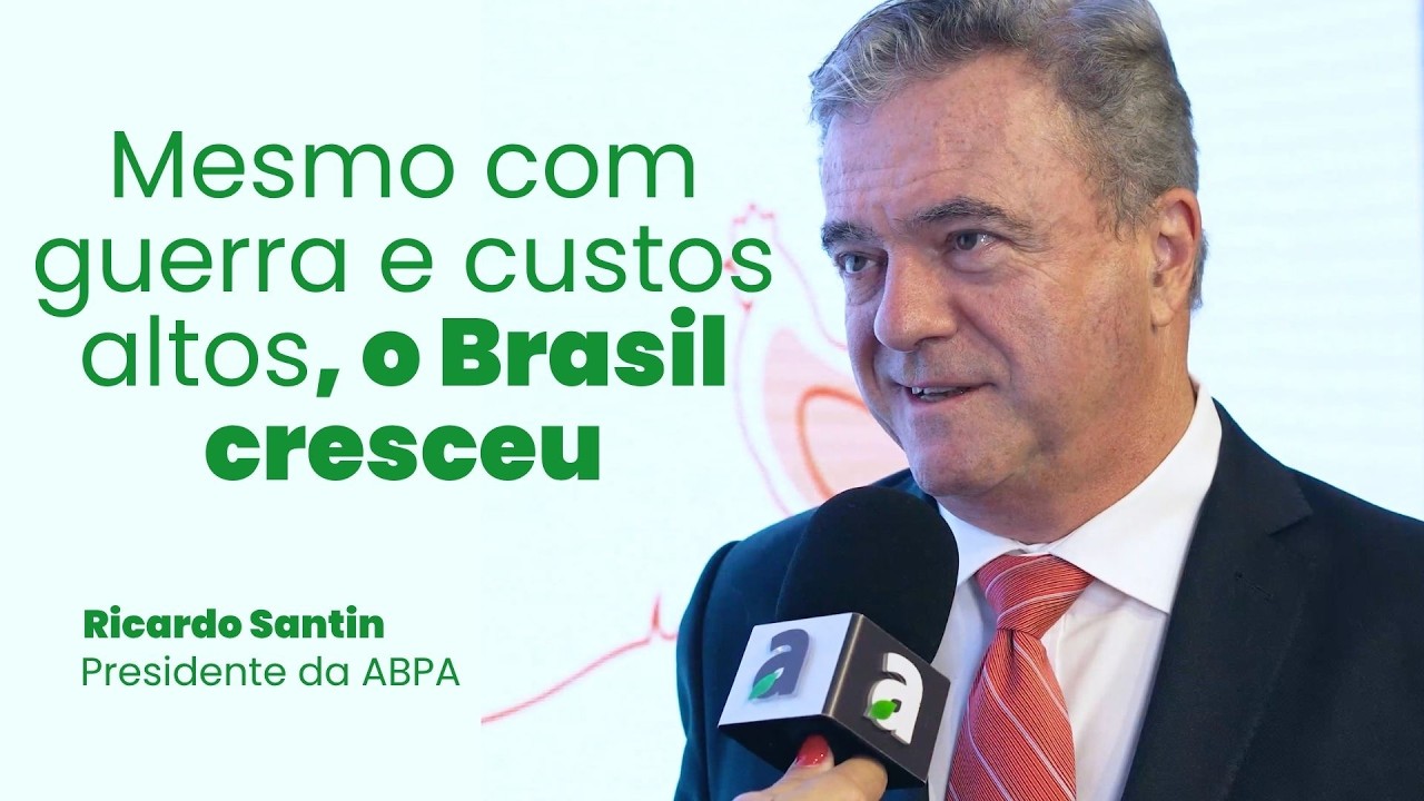 Como o setor de aves e suínos cresceu mesmo com guerra e aumento de custos