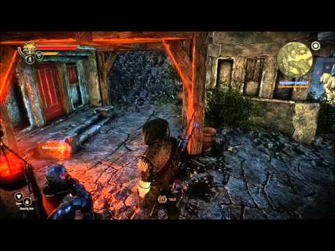 The Witcher 2 : Assassins of Kings