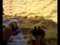 videos de quien no te quiere condenadote ?