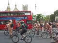 Calatos en Bici