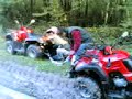 Dienne quad