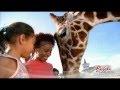 Busch Gardens Tampa Bay Video 2013 