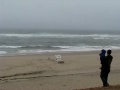 Storm update from Maguire Landing in Wellfleet