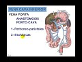VENA CAVA INFERIOR 5