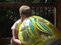 Big beachball Big beachball