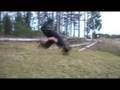 TDmonkeys Oscar & Steffen 08 Sampler part 2