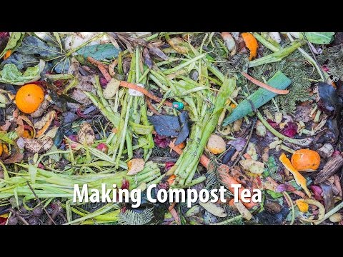 Making Compost Tea