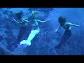 weeki wachee mermaids weeki wachee mermaids