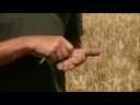 Nebraska's Crop Concerns - America's Heartland
