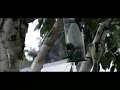 Great titmouse landing by forage tower Great titmouse landing by forage tower