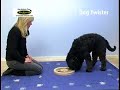 Nina Ottosson Dog Twister