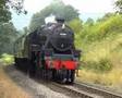 NYMR Black 5s
