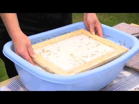 Prohlédnout video