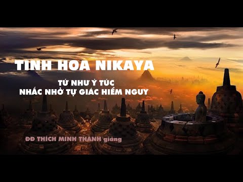 TINH HOA NIKAYA -  TỨ NHƯ Ý TÚC - Nhắc nhở tự giác hiểm nguy