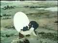 Pim de Pinguin