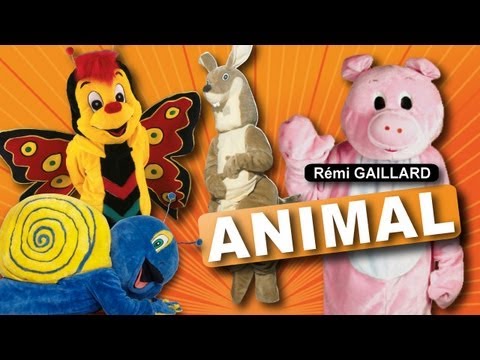 ANIMAL (REMI GAILLARD)