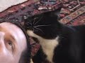 My Second iMovie Video